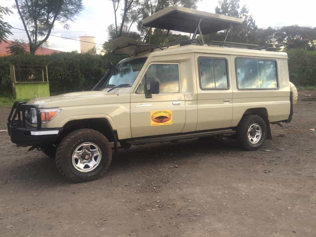 Go to safari Tanzania car
