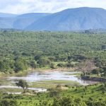 Ruaha National Park