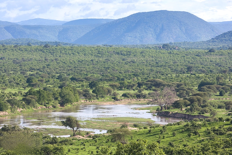 Ruaha National Park