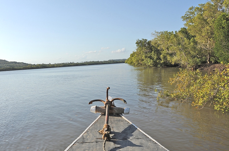 Mikumi National Park