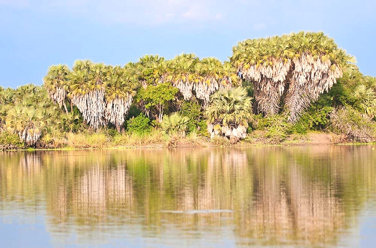 Selous Game Reserve