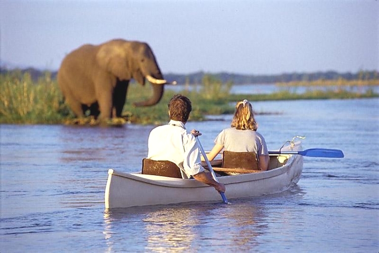 boat/canoe safari