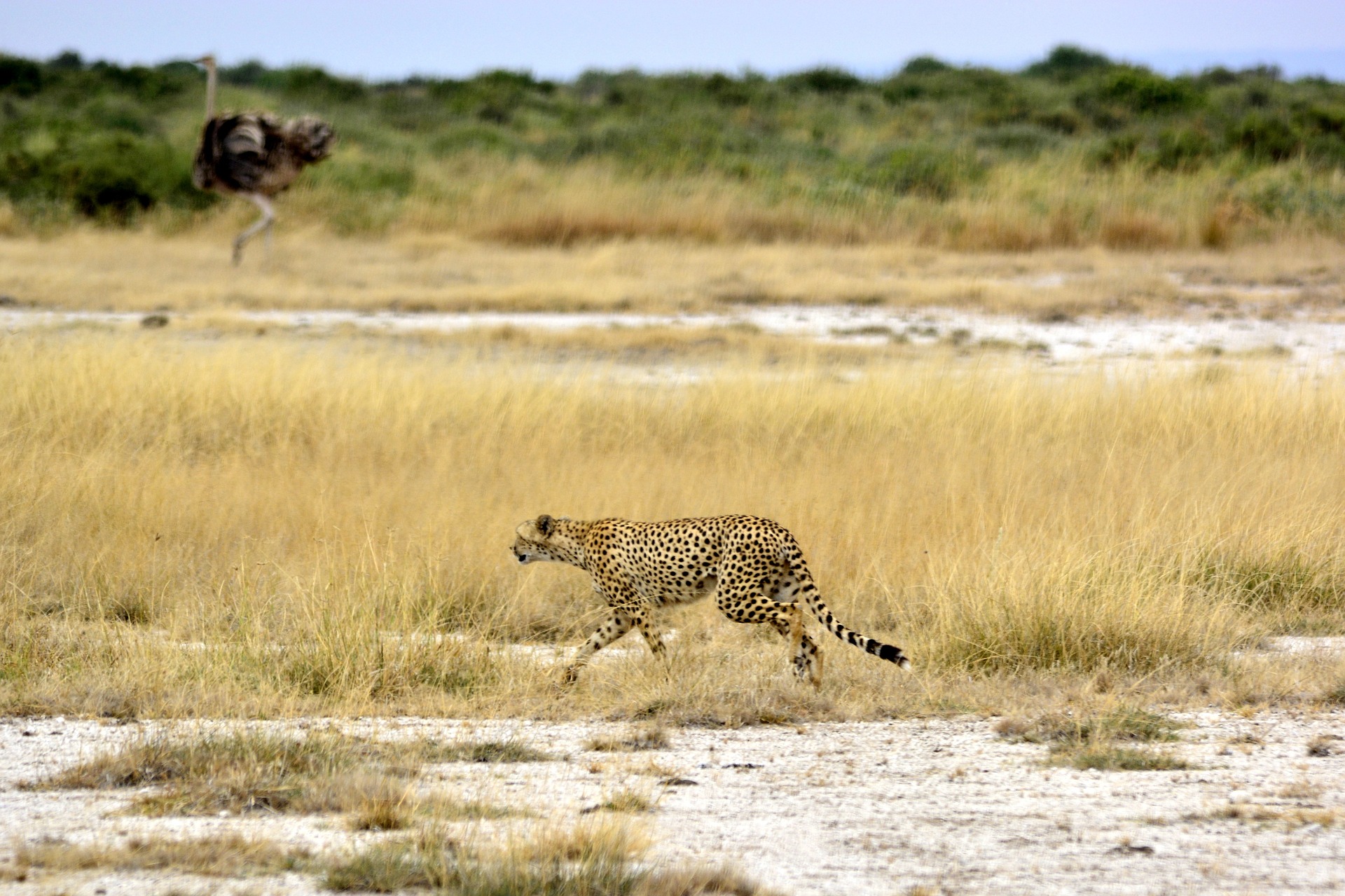 Tarangire National Park